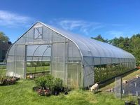 Goedkope enkelspannings tunnelkas met warmgegalvaniseerd stalen frame en stabiele constructie voor tomaten- en groenteteelt
