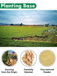 Stok Gudang AS & UE Ekstrak Akar Jahe Alami Bubuk 1% 5% 6% 10% Gingerol - Product Image 3