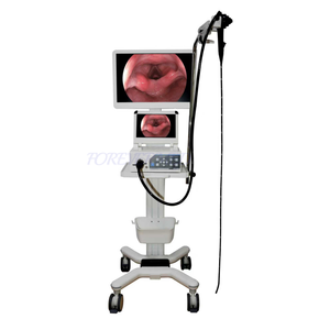 Portable 12 pouces Flip Display Endoscope vétérinaire Caméra Fibre Endoscope vétérinaire Vidéo Giendoscope <span class=keywords><strong>Bronchoscope</strong></span> - Product Image 6