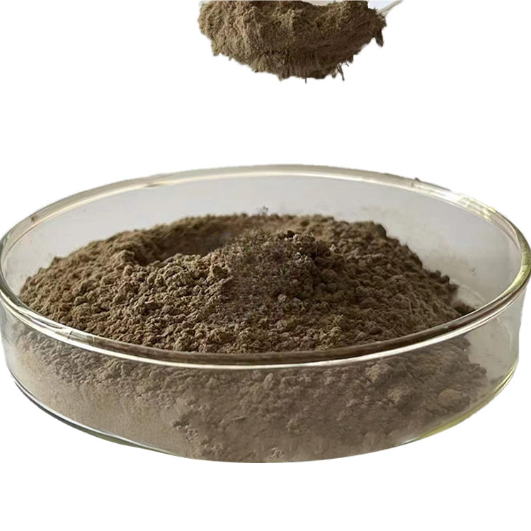 Hot sale Spongilla Lacustris Extract 70% Hydrolyzed Sponge Powder Long Needle Sponge Spicules