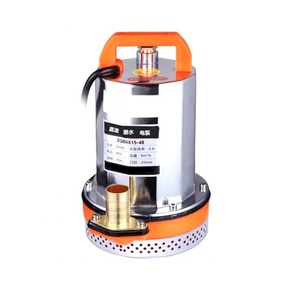 Stainless Steel DC12V Domestic Submersible <b>Water</b> <b>Pump</b> - Product Image 1