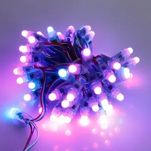 Holiday Decoration 2811 5V 12MM 50pcs/string LED Magic Full Color Light String for Christmas trees