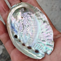 10cm en vrac pas cher chine dégagé mer naturelle petites coquilles d'ormeau pour bricolage décoration de la maison