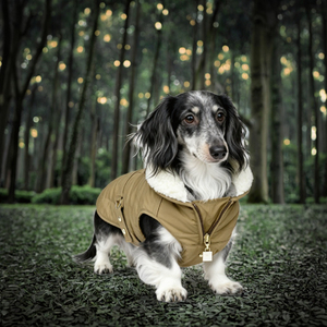Veste pour chien d'hiver moderne, écologique et luxueuse, imperméable, rembourrée, pour toutes les saisons, taille XL, Bassotto, Wiener, Dachshund, Hamburg, Teckel - Product Image 3