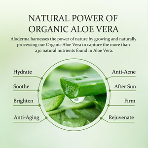 Gel de <span class=keywords><strong>Aloe</strong></span> <span class=keywords><strong>Vera</strong></span> Orgánico de Grado Cosmético ETRUN ALISA, <span class=keywords><strong>Aloe</strong></span> <span class=keywords><strong>Vera</strong></span> Puro y Natural Recién Cortado, Proporciona Humectación e Hidratación - Product Image 2