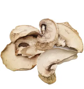 Manufacturer export Steam treated Dehydrated dried mushroom champignon slice