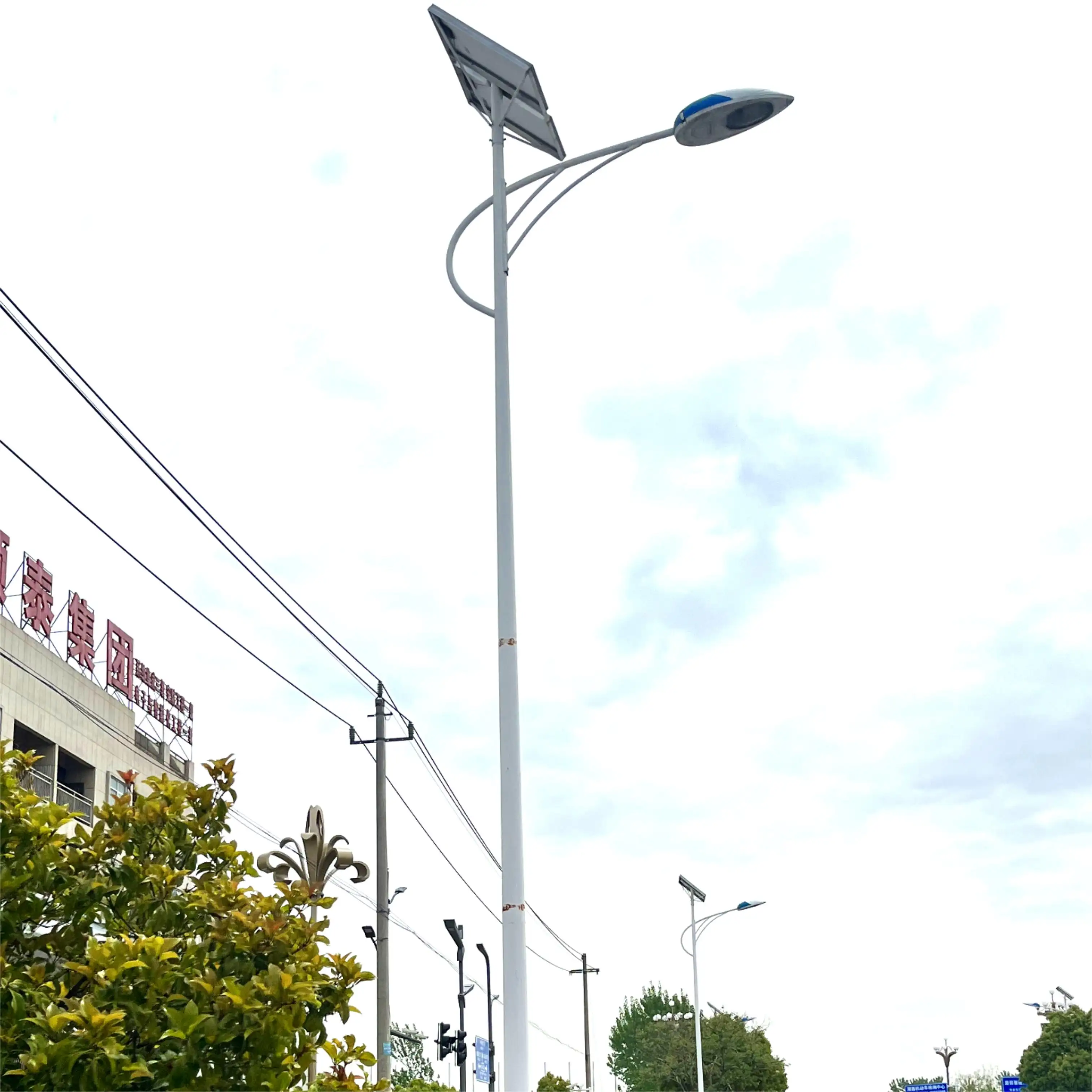 shuntai 2.5m Portable Telescopic Aluminum Lamp Post Qatar Galvanized Fiber Single Arm Light Pole