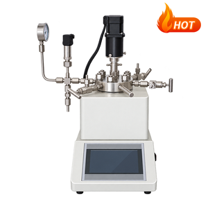 Réacteur de pyrolyse à l'échelle du laboratoire, autoclave hydrothermal, autoclave de synthèse hydrothermal, réacteur haute pression - Product Image 2