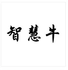 Shandong Wisdomox Machinery Technology Co., Ltd.