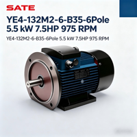 Motor de Inducción Asíncrono Trifásico de la Serie IE4 de 5.5kW 7.5HP 6 Polos 975RPM 380V 50Hz IP55 para Bomba de Agua y Compresor de Aire
