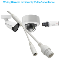 Arnés de Cableado Aislado de PVC Blanco Personalizado al por Mayor del Fabricante con Accesorio RJ45 para Cámara IP CCTV
