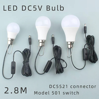 Ampoule LED DC5V pour usage extérieur avec câble de 2,8 m, prise DC5521, interrupteur marche/arrêt, crochet métallique pour un accrochage facile, CRI 80, 3000K/6500K, A19