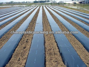 <span class=keywords><strong>Film</strong></span> <span class=keywords><strong>de</strong></span> <span class=keywords><strong>paillage</strong></span> micro-<span class=keywords><strong>perforé</strong></span> pour l'agriculture PE - Product Image 5