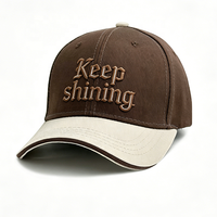 Gorra de Béisbol Deportiva para Exteriores con Logotipo Bordado en 3D, Visera Ajustable, Forro en el Borde, Personalizada, 6 Paneles, Oxford/Popelina, Diseño Frutal