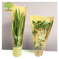 Sac en papier kraft compostable pour l'emballage de laitue hydroponique et de légumes fleur basilic emballage avec revêtement d'amidon