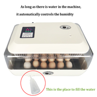 Offre Spéciale : Incubateurs Entièrement Automatiques Électriques pour 24 Œufs – Idéaux pour l'Éclosion de Poulets, Canards et Autres Volailles à la Ferme et à Domicile