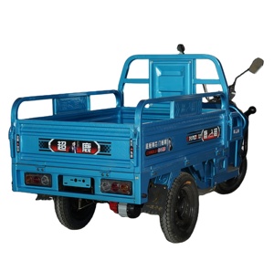 <span class=keywords><strong>Tricycle</strong></span> de scooter électrique cargo Chariot ouvert Moto 3 roues Trike électrique pour adultes - Product Image 5