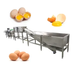 Top Selling Egg Washing Cleaning/Drying/Oil Spraying/Candling/Sorting Grading/Packaging Machines