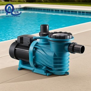 Pompe à eau en métal AKP de haute qualité pour spas et piscines gonflables, filtration efficace, adaptée à différents types de piscines - Product Image 6