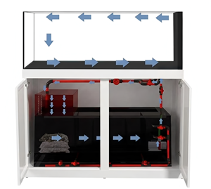 Luxury Low Iron Glass <strong>Reef</strong> Marine Tank: Floor-Standing Saltwater Aquarium with Bottom Sump Filter for Clownfish &amp; Coral Scaping - Product Image 5