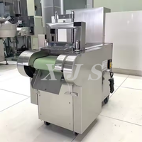 Machine à découper en dés les fruits secs (poisson séché, ananas, raisins secs) et les kiwis