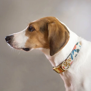 Großhandel Design Print Rosa Floral <span class=keywords><strong>Navy</strong></span> Hunde halsband mit Roségold Metalls chnalle - Product Image 6