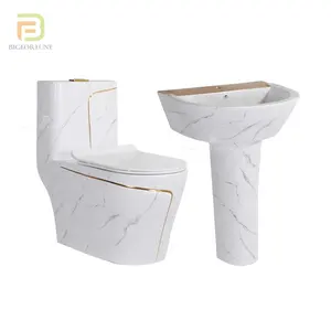 New arrival sanitary ware modern bathroom toilets standing basin ceramic marble toilet set