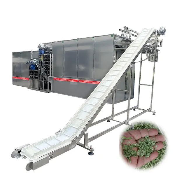 Mesin Pengering kentang manis lini produksi sabuk jala industri untuk daun dehidrator moringa