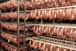 Congélateur à marche rapide Sausage Blast, chambre froide avec conception <span class=keywords><strong>de</strong></span> conteneur, panneaux <span class=keywords><strong>de</strong></span> 150 mm d'épaisseur, moteur à économie d'énergie - Product Image 4