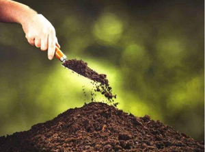 <span class=keywords><strong>Chlorure</strong></span> <span class=keywords><strong>de</strong></span> manganèse <span class=keywords><strong>de</strong></span> qualité AR, CAS 13446-34-9, 99% - Product Image 6