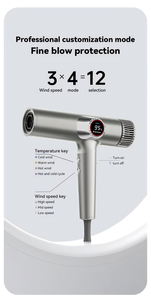 Secador de Pelo Difusor de Alta Velocidad DC 2000W, Secado Súper Rápido, Plegable, Motor Iónico AC, Uso Profesional, Hogar, Hoteles - Product Image 3