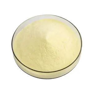 Materia prima di alta qualità Zein polvere per uso alimentare Zein Corn Protein
