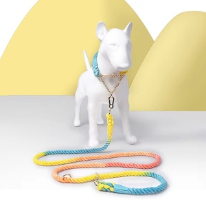 Pettorine e Guinzagli Premium in Nylon per Cani 2026: Comodi, Eleganti e dal Design Colorato - Product Image 3