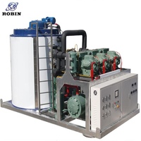 Machine à glace flocon 20ton/jour avec neige glace forme 380V compresseur eau-air refroidissement pour 1000kg de stockage dans une usine de glace
