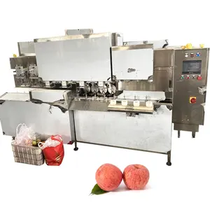 Multifunctionele Industriële Appelsnijmachine Appelschilmachine Te Koop