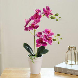 Phalaenopsis Kunstmatige Ingemaakte Kantoordecoratie Kleine Potfotografie Bonsai Groene Plant Decoratieve Potten - Product Image 1
