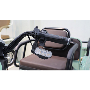 Ventes directes d'usine Pneus sous vide <span class=keywords><strong>tout</strong></span>-<span class=keywords><strong>terrain</strong></span> <span class=keywords><strong>Tricycle</strong></span> <span class=keywords><strong>électrique</strong></span> ouvert quotidien pour adultes Charge utile de 200 à 300kg Autonomie de 50 à 70km - Product Image 5