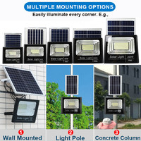 Projecteur LED Solaire Extérieur Intégré Personnalisé, Lampe d'Éclairage de Rue Solaire Moderne