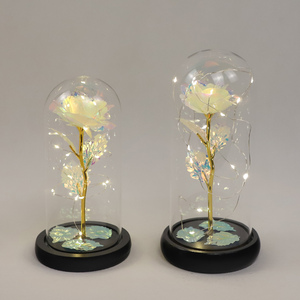 Rose préservée à la main dans un dôme en verre transparent avec éclairage LED Cadeau unique pour toute occasion Fleurs artificielles - Product Image 4