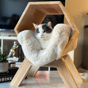 <span class=keywords><strong>Maison</strong></span> <span class=keywords><strong>pour</strong></span> <span class=keywords><strong>chat</strong></span> moderne et écologique Couvercle <span class=keywords><strong>de</strong></span> bac à litière en bois à la mode Meubles en caoutchouc et plastique <span class=keywords><strong>pour</strong></span> chats Leur carton <span class=keywords><strong>de</strong></span> <span class=keywords><strong>toilette</strong></span> - Product Image 1