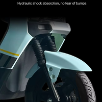 Moto électrique pour adultes, batterie lithium 1000W, capacité de charge 250kg, vitesse maximale 40-60km/h, fabriquée en Chine
