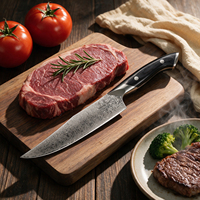 Couteau de Chef Professionnel en Acier Damas VG10 de Qualité Supérieure, Couteaux et Accessoires de Cuisine avec Manche en Bois