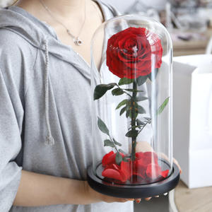 <span class=keywords><strong>Prix</strong></span> usine Roses éternelles vraies Roses immortelles en verre 15*30cm Roses préservées populaires dans un dôme en verre comprenant des boîtes-cadeaux - Product Image 3