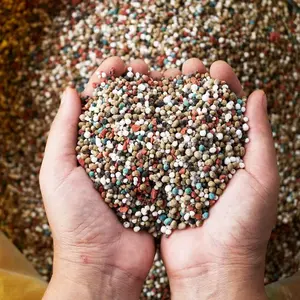 <span class=keywords><strong>Engrais</strong></span> composé Npk 171717 granulaire de rouleau nutritif de plante de sol de haute qualité - Product Image 4