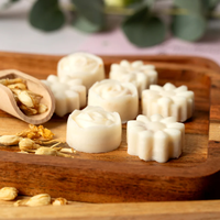 Kit de démarrage pour cire fondante PLANT FUN pour la création artisanale à domicile avec moules carrés et huiles parfumées