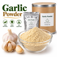 Poudre d'ail de haute qualité, poudre végétale naturelle, ingrédient alimentaire en vrac, fourniture OEM sous marque privée