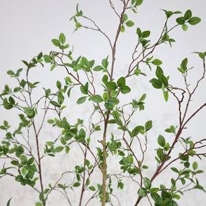 2025 nouvel arbre <span class=keywords><strong>Toona</strong></span> artificiel avec feuilles réalistes Faux arbre intérieur extérieur pour bureau à domicile salon chambre porche décor - Product Image 5