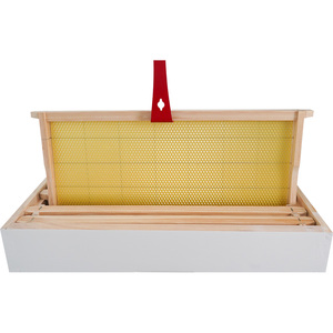 Ruche pour les abeilles Ruches d'abeilles australiennes complètes - Product Image 5