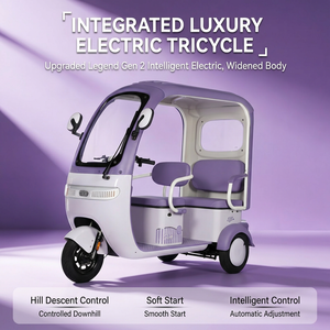 <span class=keywords><strong>Mini</strong></span> <span class=keywords><strong>Triciclo</strong></span> Eléctrico Solar de Tipo Abierto Hecho en China para Adultos - Product Image 6