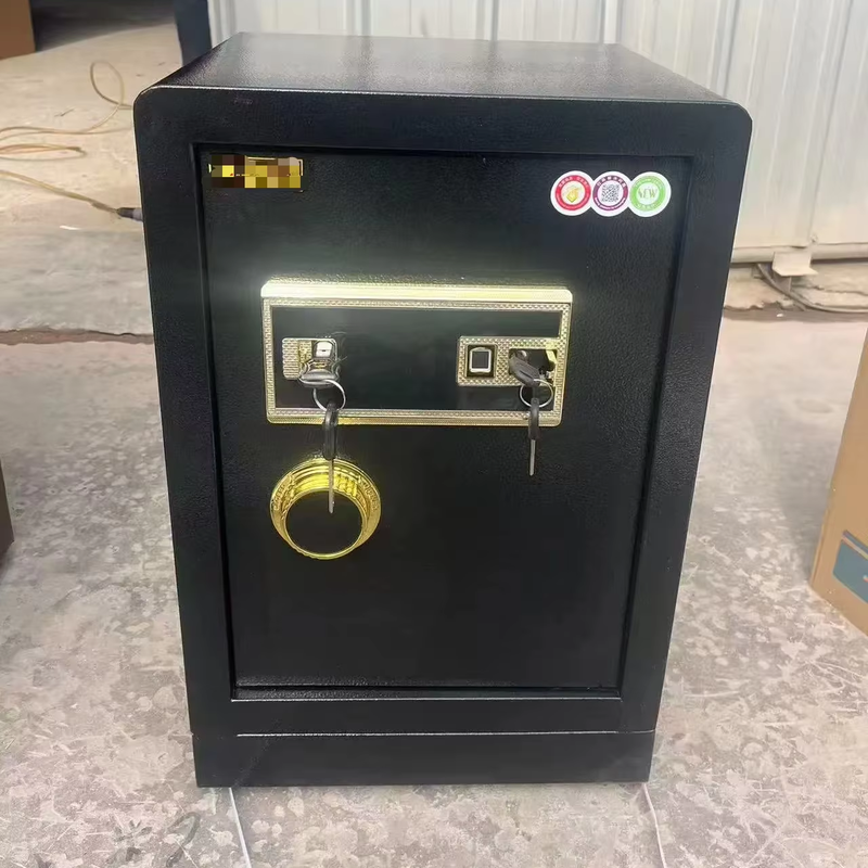 Direct Factory Sale XT Custom Home